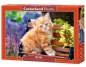 Puzzle Ginger Kitten 500 elementów (52240)