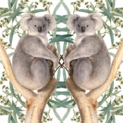 Karnet kwadrat z kopertą Koala