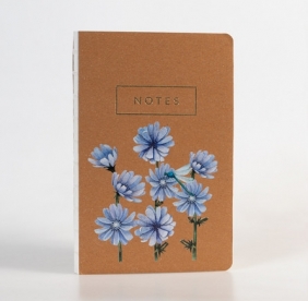Notes Cykoria