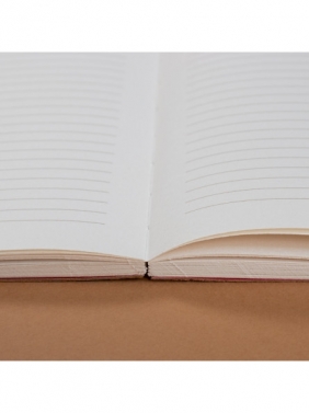 Notes Cykoria