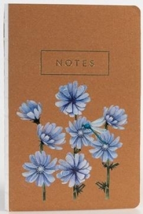 Notes Cykoria