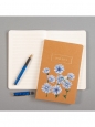 Notes Cykoria