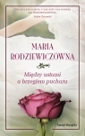 Między ustami a brzegiem pucharu (wydanie kieszonkowe) Maria Rodziewiczówna