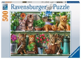 Puzzle 500 elementów - Koty na półce (148240)