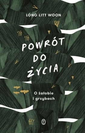 Powrót do życia (Uszkodzona okładka) - Litt Long Woon