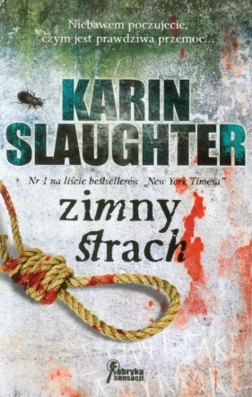 Zimny strach - Slaughter Karin<br />