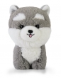 Maskotka TEDDY PETS HUSKY - null