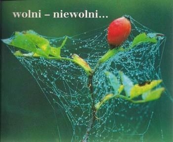 Wolni - niewolni.... Perełka 68