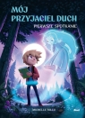 Mój przyjaciel duch. Pierwsze spotkanie (tom 1) Tolo Michelle