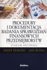  Procedury i dokumentacja badania sprawozdań finansowych przedsiębiorstw.