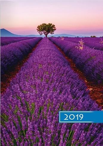 Kalendarz 2019 B6 Kolorowy lawenda