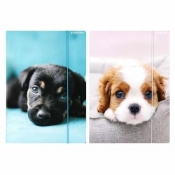 Teczka z gumką A4 Pieski mix