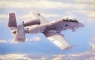 N/AW A-10A Thunderbolt II 1/48 (80324) od 14 lat