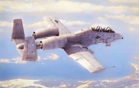 N/AW A-10A Thunderbolt II 1/48 (80324)