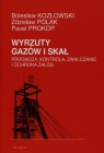 Wyrzuty gazów i skał Prognoza, kontrola, zwalczanie i ochrona załóg Kozłowski Bolesław, Polak Zdzisław, Prokop Pavel