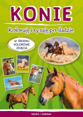 Konie. Koloruję i rysuję po śladzie - Monika Myślak
