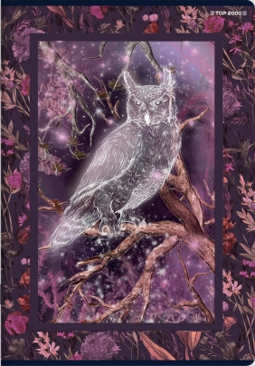 Zeszyt Top 2000 Fairytale A5/60k linia z marginesem, 1 szt