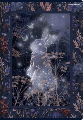 Zeszyt Top 2000 Fairytale A5/60k linia z marginesem, 1 szt