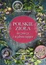 Polskie zioła lecznicze i uzdrawiające. Wydanie 3 Grażyna Wasilewska