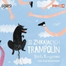  30 znikających trampolin audiobook