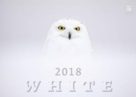 Kalendarz 2018 White EX HELMA