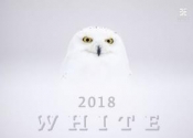 Kalendarz 2018 White EX HELMA