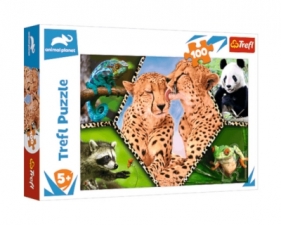Puzzle 100el. Piękno natury