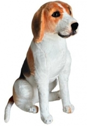 Beagle siedzący 65cm