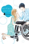  Perfect World #04