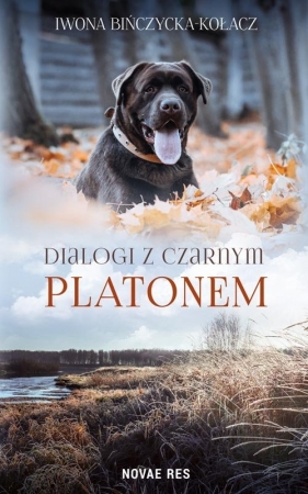 Dialogi z czarnym Platonem - Iwona Bińczycka-Kołacz