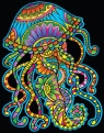  Kolorowanka Welwetowa Colorvelvet 47x35 cm Meduza