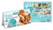 Kalendarz 2023 pocztówkowy Psy