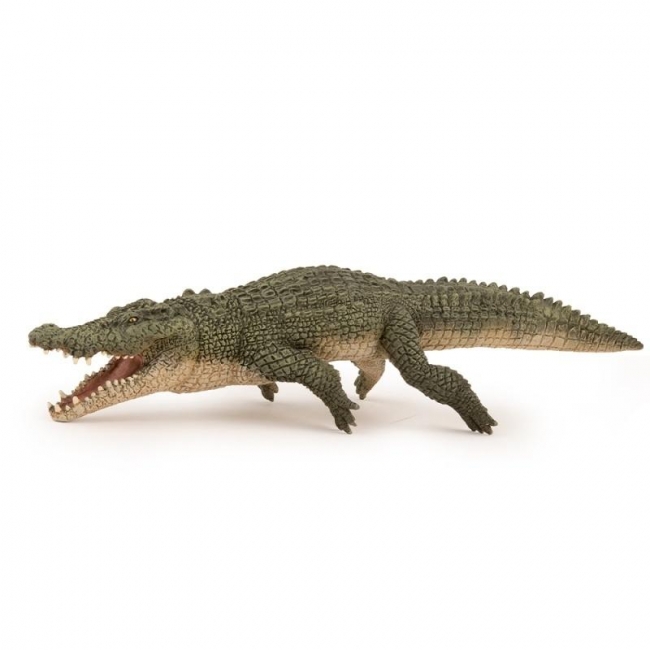 Krokodyl słonowodny 21,5x7,2x5cm