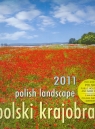 Kalendarz 2011 Polski krajobraz WZ2