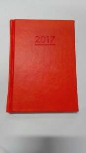 Kalendarz Ola 2022, tygodniowy A6 - pomarańczowy (T-212V-P)