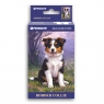 Puzzle mini 108 elementów Penmate Dog Garden Border Collie