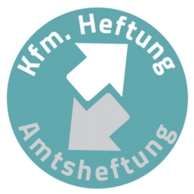 Skoroszyt Elba oczkowy A4 - czerwony 250 g (100551875)