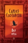 Dar orła Castaneda Carlos