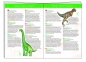 Puzzle Obserwacyjne Dinozaury 100 elementów + książeczka (DJ07424)