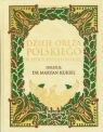 Dzieje oręża polskiego w epoce napoleońskiej Kukiel Marian