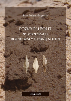 Późny paleolit w dorzeczach Dolnej Wisły i Górnej Noteci - Beata Bielińska-Majewska
