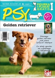 Golden retriever. Kolekcja Psy. Część 7. Fakt poleca (figurka + plakat) - Opracowanie zbiorowe