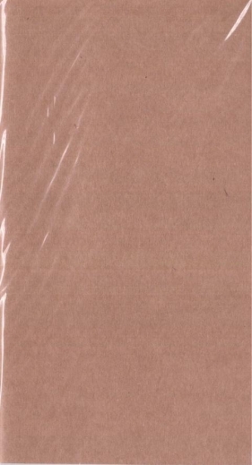 Wkład kalendarzowy 2026 Organizer Podróżnika TNS