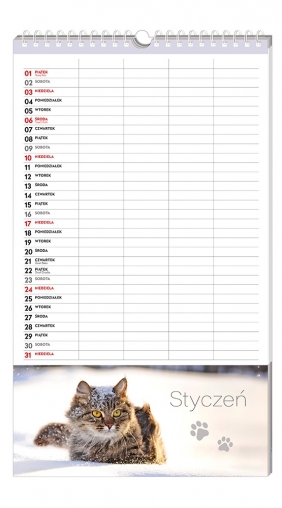 Kalendarz planner rodzinny 25x43cm - Zwierzaki