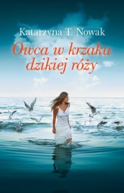 Owca w krzaku dzikiej róży