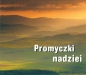 Perełka 141 - Promyczki nadziei w.2013 - Opracowanie zbiorowe