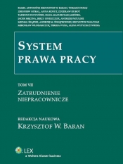 System prawa pracy Tom 7