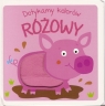 Dotykamy kolorów Różowy