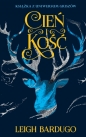 Cień i kość. Trylogia Griszów. Tom 1 - Leigh Bardugo