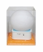 Lampka (U751)